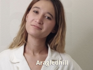 Aragledhill