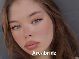 Areabridz