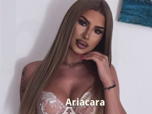 Ariacara