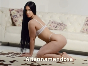 Ariannamendosa