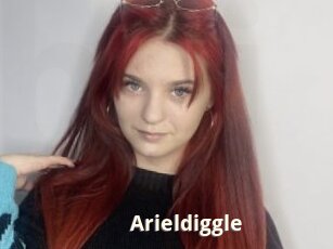 Arieldiggle