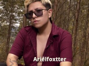 Arielfoxtter