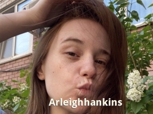 arleighhankins Bigtitinvasion
