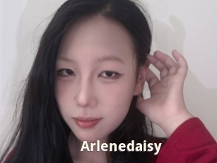 Arlenedaisy