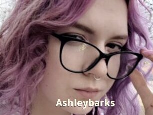 Ashleybarks