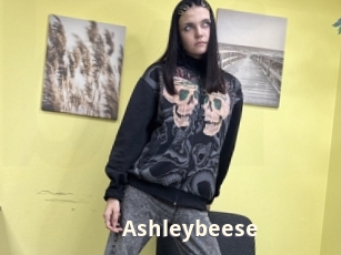 Ashleybeese