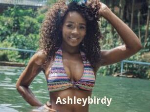 Ashleybirdy