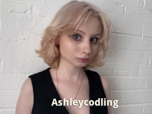 Ashleycodling