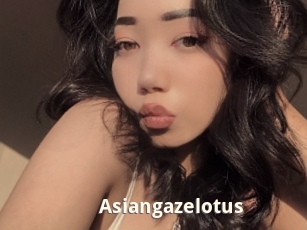 Asiangazelotus