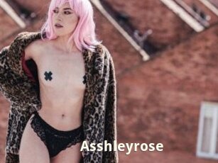 Asshleyrose