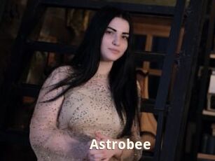 Astrobee