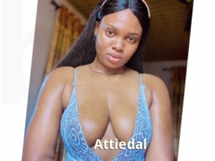 Attiedal