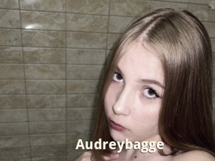 Audreybagge