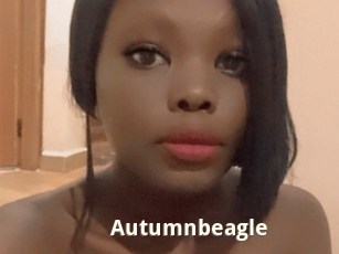 Autumnbeagle