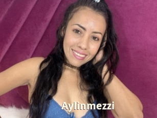Aylinmezzi