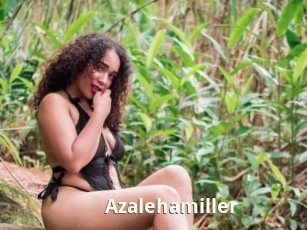 Azalehamiller
