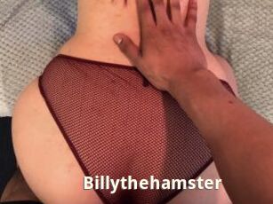Billythehamster