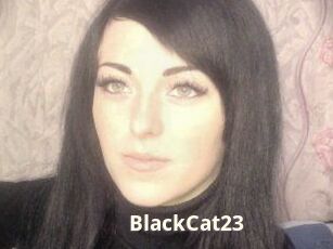 BlackCat23