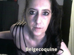 Belgecoquine