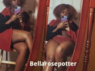 Bellarosepotter
