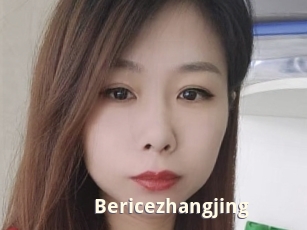 Bericezhangjing