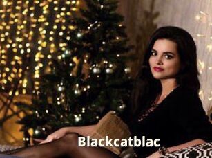 blackcatblac Bigtitinvasion