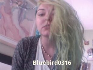 Bluebird0316