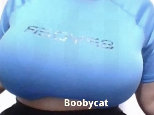 Boobycat