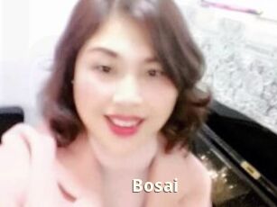 Bosai