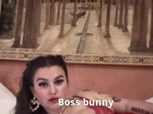 Boss_bunny