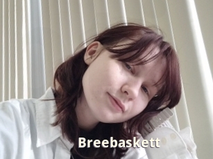 Breebaskett
