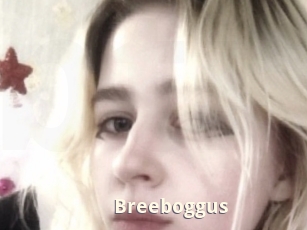 Breeboggus