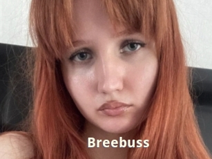Breebuss