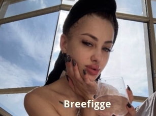 Breefigge