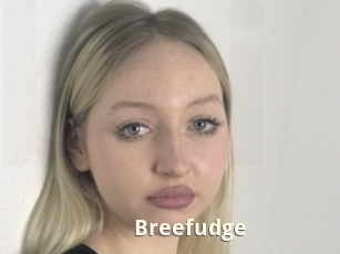 Breefudge