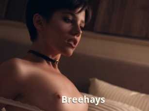 Breehays