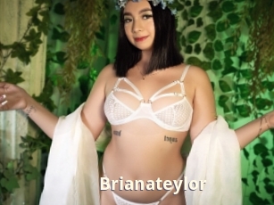 Brianateylor