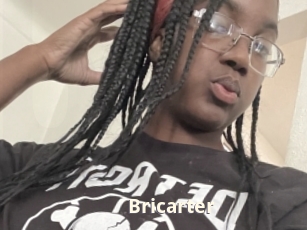Bricarter