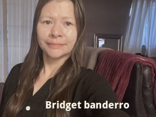 Bridget_banderro