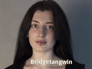 Bridgetangwin