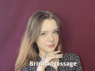 Brimladgossage