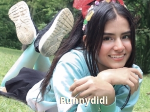 Bunnydidi