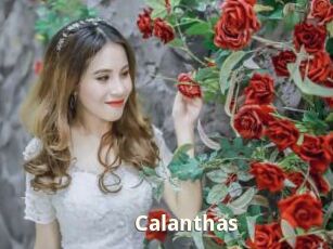Calanthas