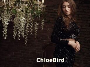ChloeBird