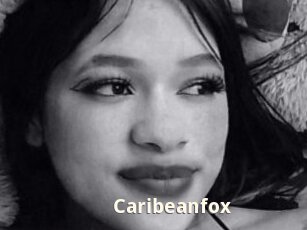 Caribeanfox