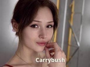 Carrybush