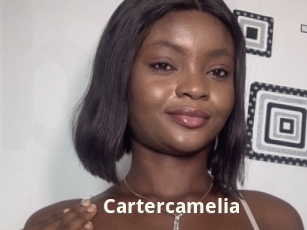 Cartercamelia