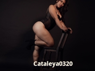 cataleya0320 Bigtitinvasion