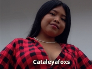 Cataleyafoxs