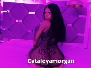 Cataleyamorgan